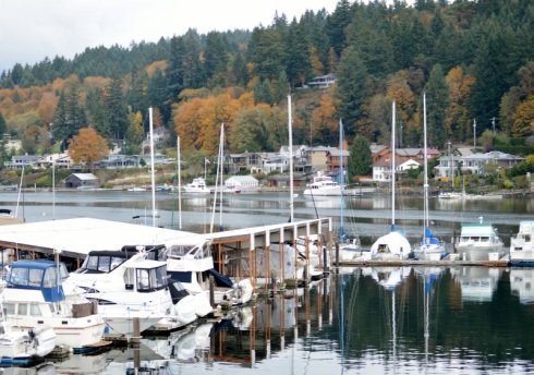 Fall day in harbor
