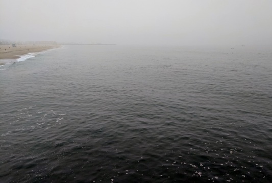 Foggy morning, from the Pier